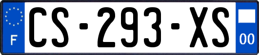 CS-293-XS