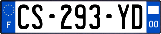 CS-293-YD