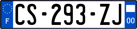 CS-293-ZJ