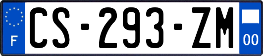 CS-293-ZM