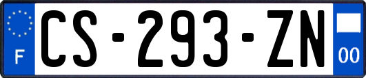 CS-293-ZN