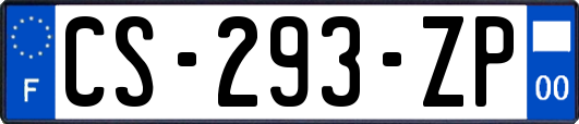 CS-293-ZP