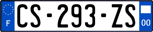 CS-293-ZS