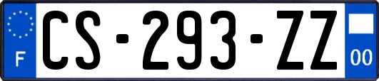 CS-293-ZZ