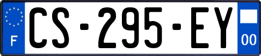 CS-295-EY