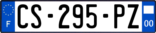 CS-295-PZ