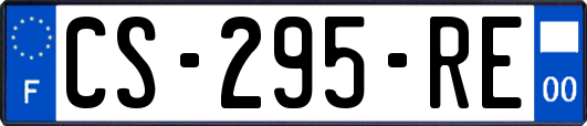 CS-295-RE