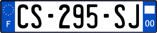 CS-295-SJ