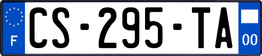 CS-295-TA