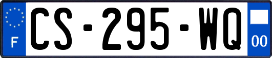 CS-295-WQ