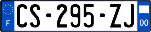 CS-295-ZJ