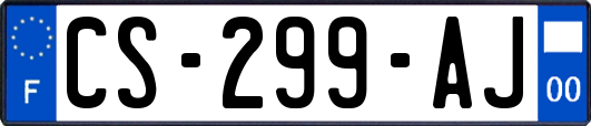 CS-299-AJ