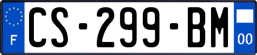 CS-299-BM