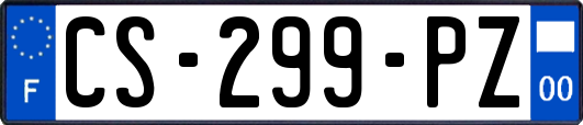CS-299-PZ