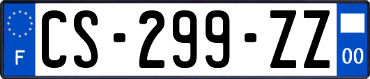 CS-299-ZZ