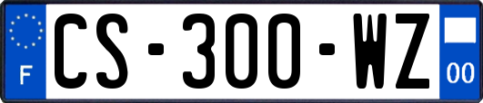 CS-300-WZ