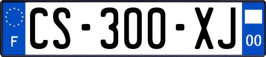 CS-300-XJ