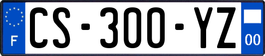 CS-300-YZ