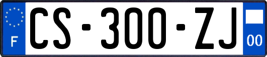 CS-300-ZJ