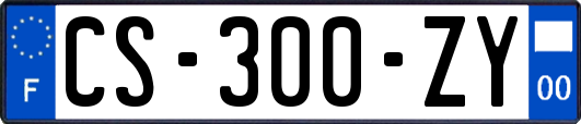 CS-300-ZY