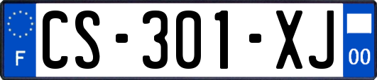 CS-301-XJ