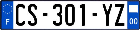 CS-301-YZ