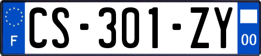 CS-301-ZY