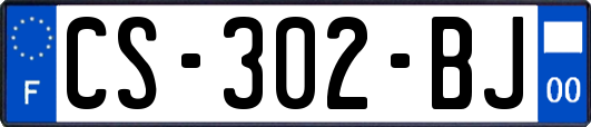 CS-302-BJ