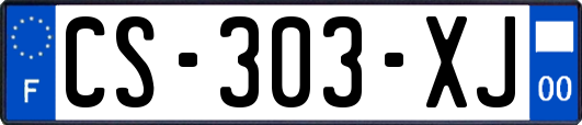 CS-303-XJ