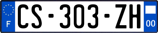 CS-303-ZH