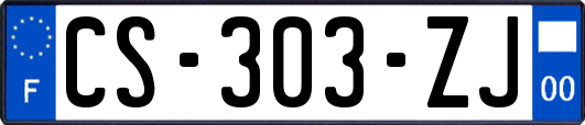 CS-303-ZJ