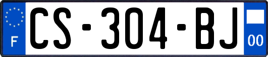 CS-304-BJ