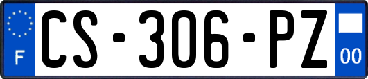 CS-306-PZ