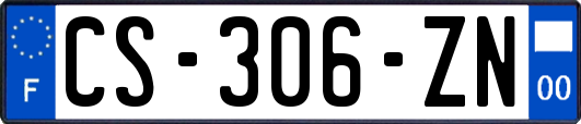 CS-306-ZN