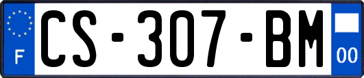 CS-307-BM