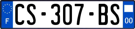 CS-307-BS