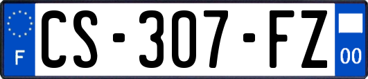 CS-307-FZ