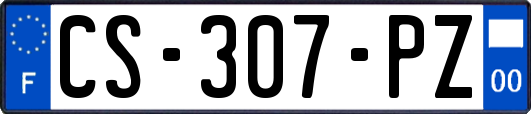 CS-307-PZ