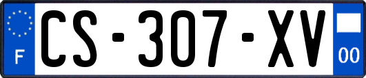 CS-307-XV