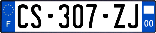 CS-307-ZJ