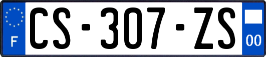 CS-307-ZS