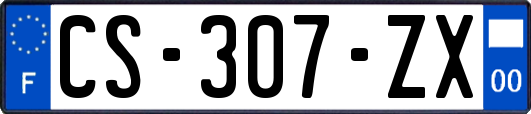 CS-307-ZX