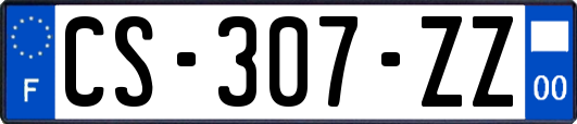 CS-307-ZZ