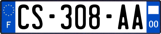 CS-308-AA