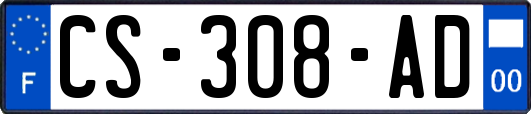 CS-308-AD