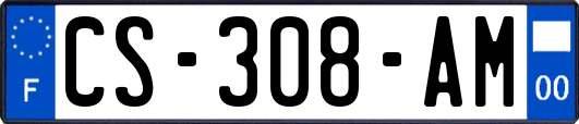 CS-308-AM