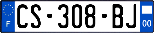 CS-308-BJ