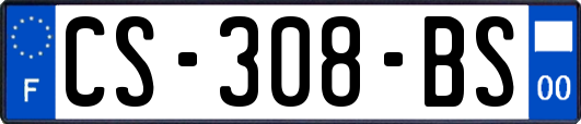 CS-308-BS