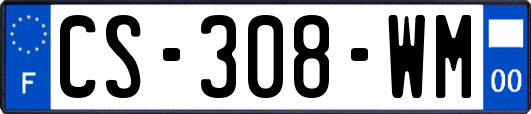 CS-308-WM