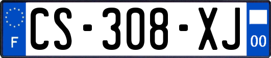 CS-308-XJ